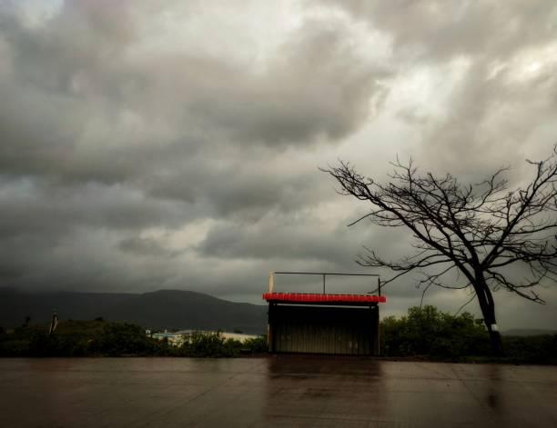 Bus stop and a bare Tree beside the road on a rainy day