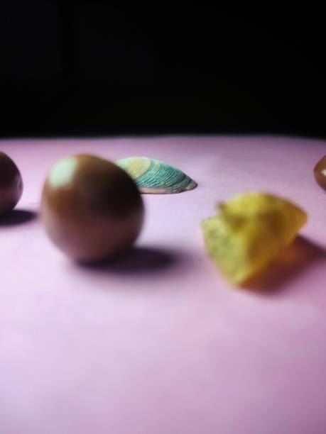 istock An Abstract of Chocolate balls, Leaves, shell on Pink surface 1907585331