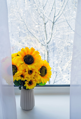 Snow-covered trees outside the window. Bright sunflowers against the backdrop of  winter landscape.