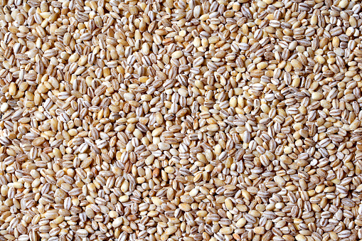 Lots of dry pearl barley grains. Can be used as a background.