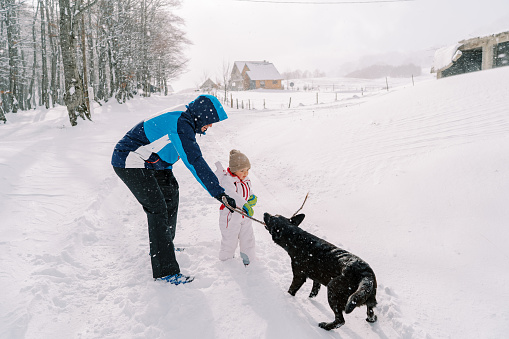 Dad plays with a black dog with a stick while standing with a little girl on a snowy village road. High quality photo
