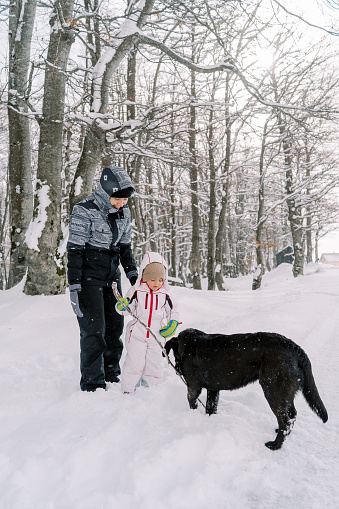 Little girl hands a stick to a black dog while standing with her mother in a snowy forest. High quality photo