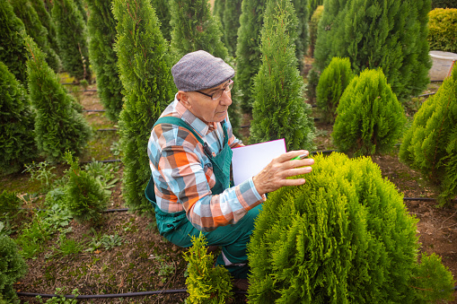 A seasoned gardener records essential plant data in a notebook.