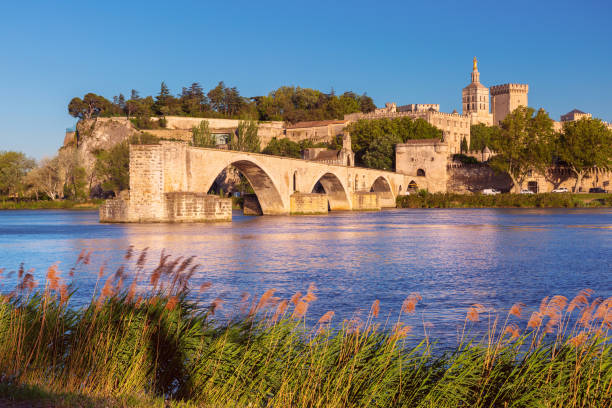 istock Avignon Bridge, France 1907808924