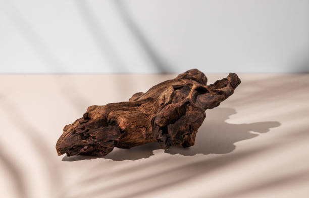 istock A piece of natural wood with a complex texture on a beige background with shadow. 1907838023