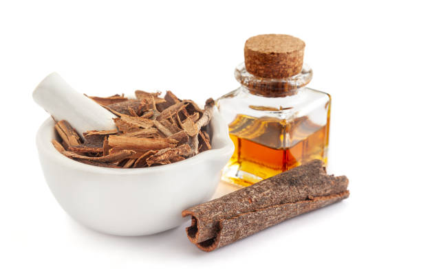 istock Dry organic Cinnamon sticks (Cinnamomum verum), in white ceramic mortar and pestle. 1907839093