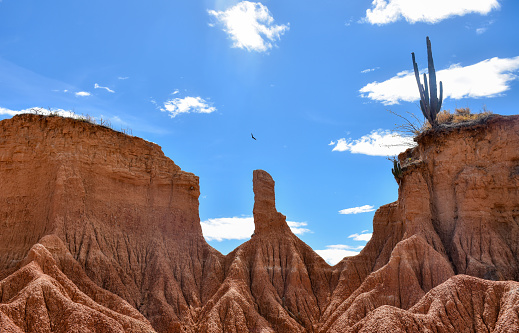 Close-up on desert dunes, a bird flying over the area and a cactus on top of one of the rock formations.