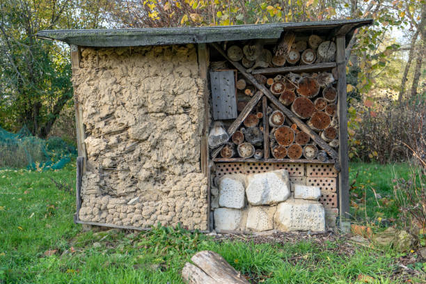 istock insect hotel in the natural garden 1907849732