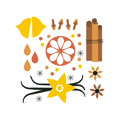 Set of spices for mulled wine. Cinnamon sticks, star anise, clove, citrus, vanilla. Spicy and healthy. Spices for making a winter drink. Vector illustration on white. Flat trendy abstract style.