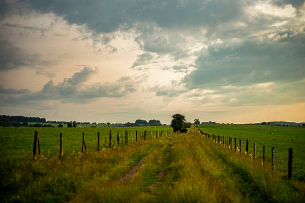 English countryside.