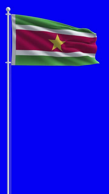 Flag of Suriname on chroma key background