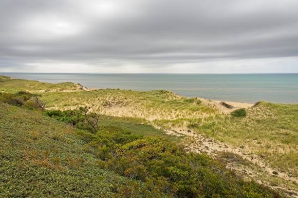 istock Sand dunes protect the shoreline on the bay side of Cape Cod national seashore 1908025523