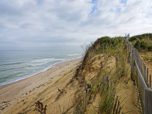 istock Eroding sand dunes at the top of Marconi Beach at the Cape Cod national Seashore 1908027113