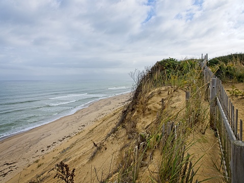 Eroding sand dunes at the top of Marconi Beach at the Cape Cod national Seashore. One of the fastest sand erosion locations in the northeast United states as the beach erodes several feet each year.