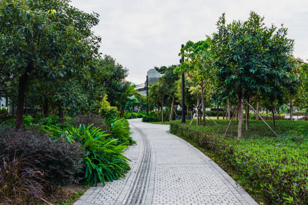 istock Park in Kowloon, hong kong 1908029695
