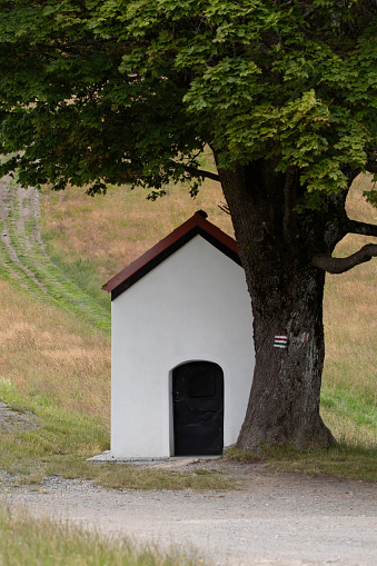 A small chapel under a tree in the middle of a rural road