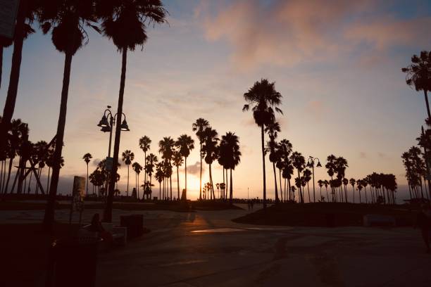 Venice Beach stock photo