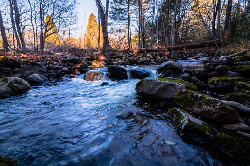 Stokes State Forest in Sussex County, NJ, on the Blue Mountain Trail in on a late afternoon in early winter