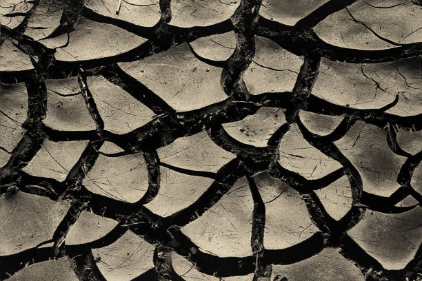 Cracked dry mud near the Red River in North Dakota