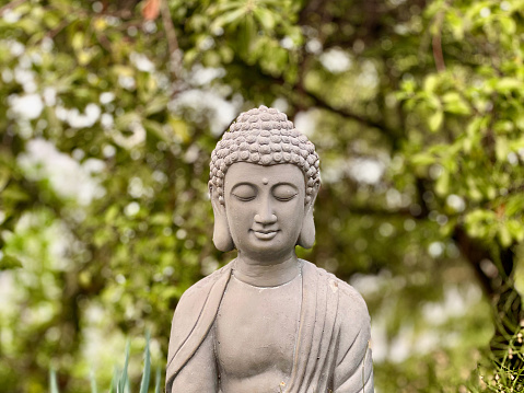 View of a buddha statue in a garden.