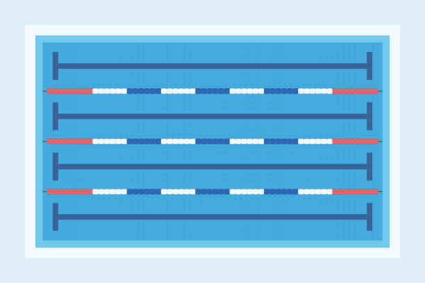 Swimming pool top view illustration. Swimming pool with lanes, simple graphic background. swimming stock illustrations