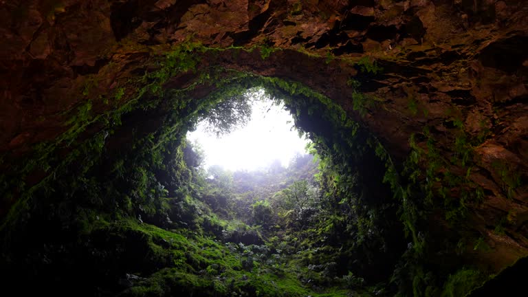 Inside of inactive volcanic vent of Algar do Carvao covered with plants. Terceira, Azores