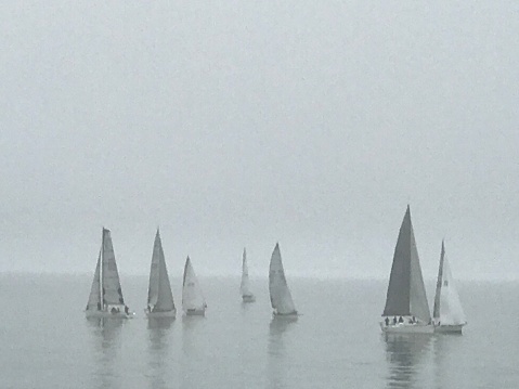 This photograph captures a serene scene of multiple sailboats drifting through a dense fog on the ocean near Malibu, California..