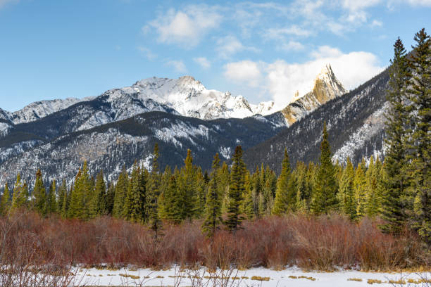 istock Rocky Mountains in Banff National Park 1908314584