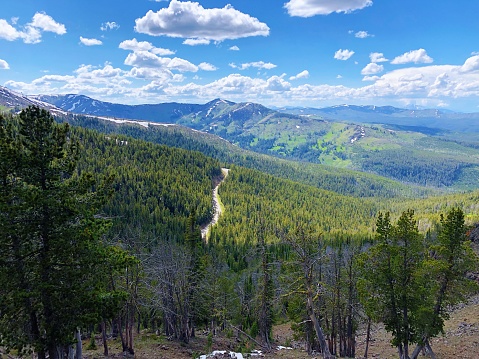 Spectacular panoramic views at Mount Washburn, secret place in Yellowstone National Park, Wyoming Montana. Great hiking. Grand Tetons. Summer wonderland to watch wildlife and natural landscape.