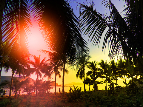 Breathtaking sunset scenery. Tropical garden, sunset background. Beauty beach nature. Travel card. Vintage coloring effect