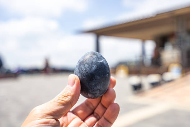 Black eggs that extend your lifespan by 7 years.