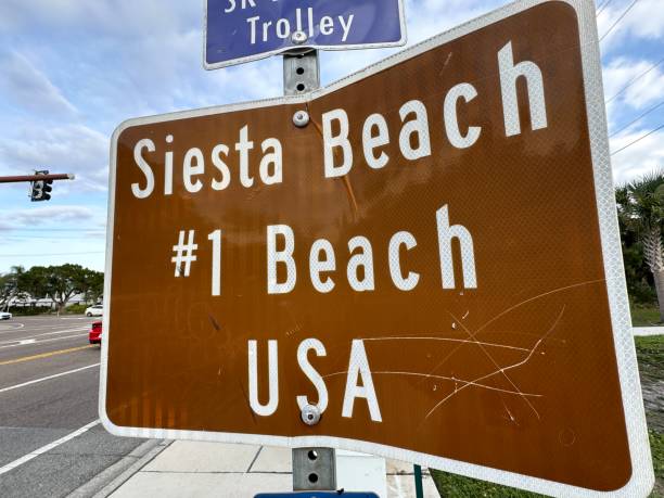 istock Scenery at Siesta Key beach in Sarasota, Florida 1908399500