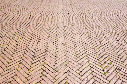 Brick Floor in Piazza del Campo - Siena - Italy