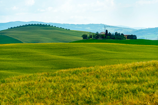 Rolling Hills of Tuscany - Italy