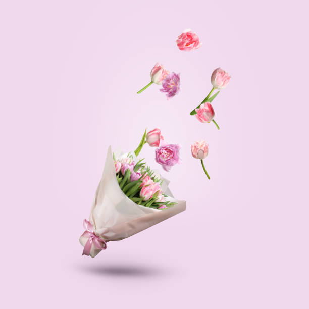 istock Tulip flowers falling into beautiful bouquet on pink background 1908550649