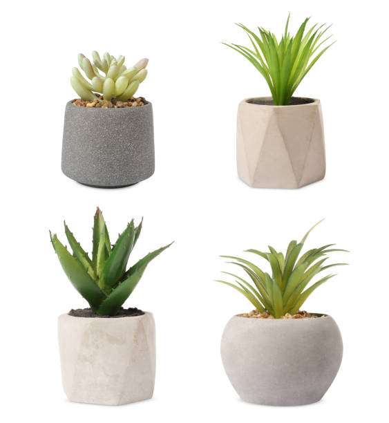 istock Set of artificial plants in flower pots isolated on white 1908551183