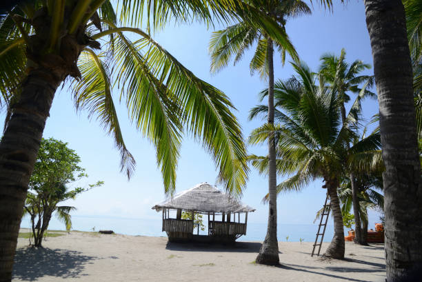 Beautiful hut and white sand beach with palm trees on a sunny, hot, and clear day.