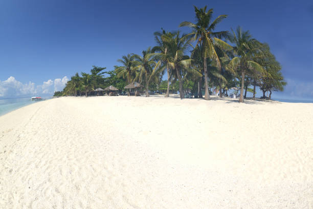 istock Beautiful white sand beach with palm trees on a sunny day. 1908564739