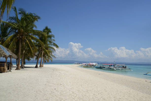 istock Beautiful white sand beach with palm trees on a sunny day. 1908570433