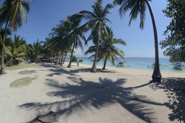 istock Coconut palm trees with shadow and beautiful white sand beach on a sunny, hot, and clear day. 1908570959