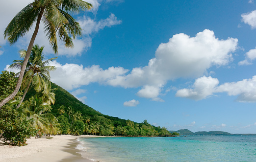 Beautiful caribbean beach on Saona island, Dominican Republic