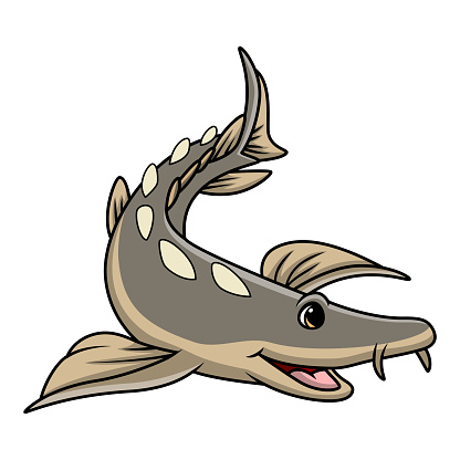 Vector illustration of Cute sturgeon fish cartoon on white background