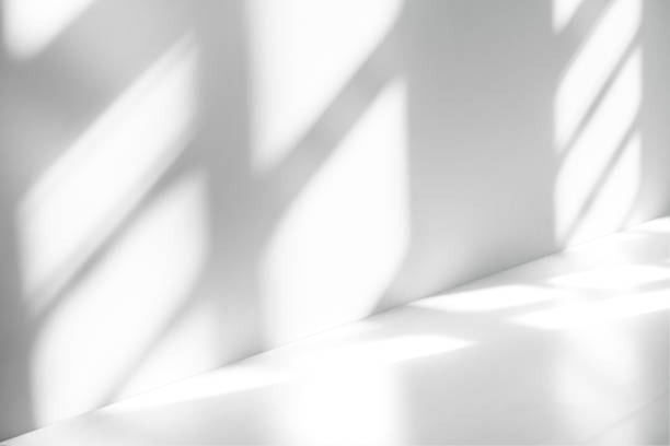istock Wall interior background, studio and backdrops show products.with shadow from window color white . background for text insertion and presentation product 1908670402