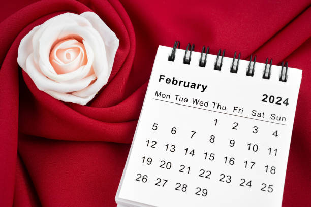 February 2024 desk calendar and pink rose on red textile background.