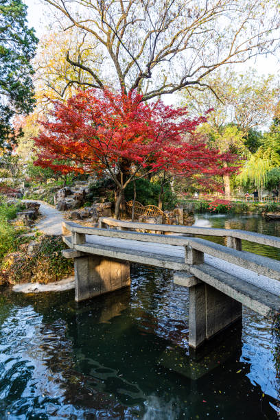istock Suzhou Gardens in Autumn 1908692684