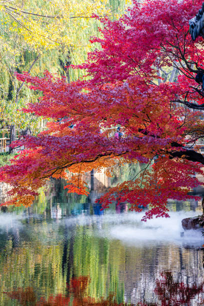 istock Suzhou Gardens in Autumn 1908693028