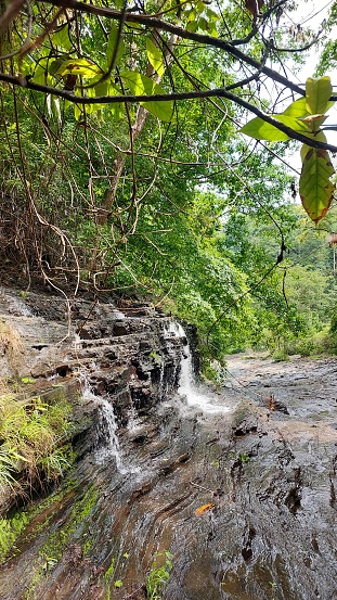 A small waterfall in the wilderness and a beautiful stretch of rocks under lush trees
