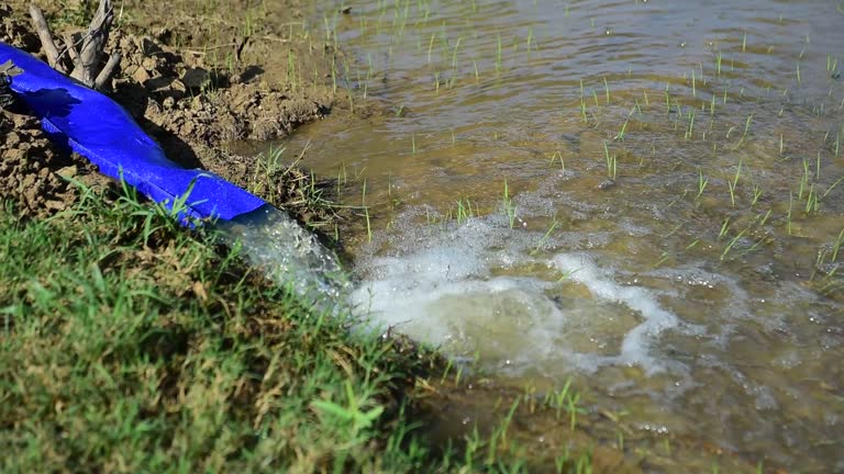 Farmers are pumping water into their agricultural fields.