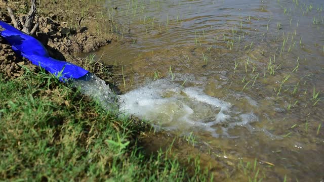 Farmers are pumping water into their agricultural fields.