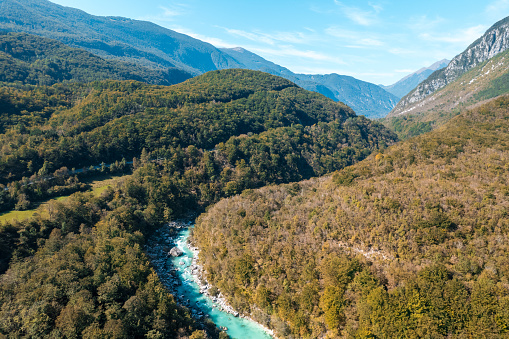 From a bird's eye view, the untouched splendor of a clear river winding through a canopy of trees captures the essence of a tranquil natural escape.